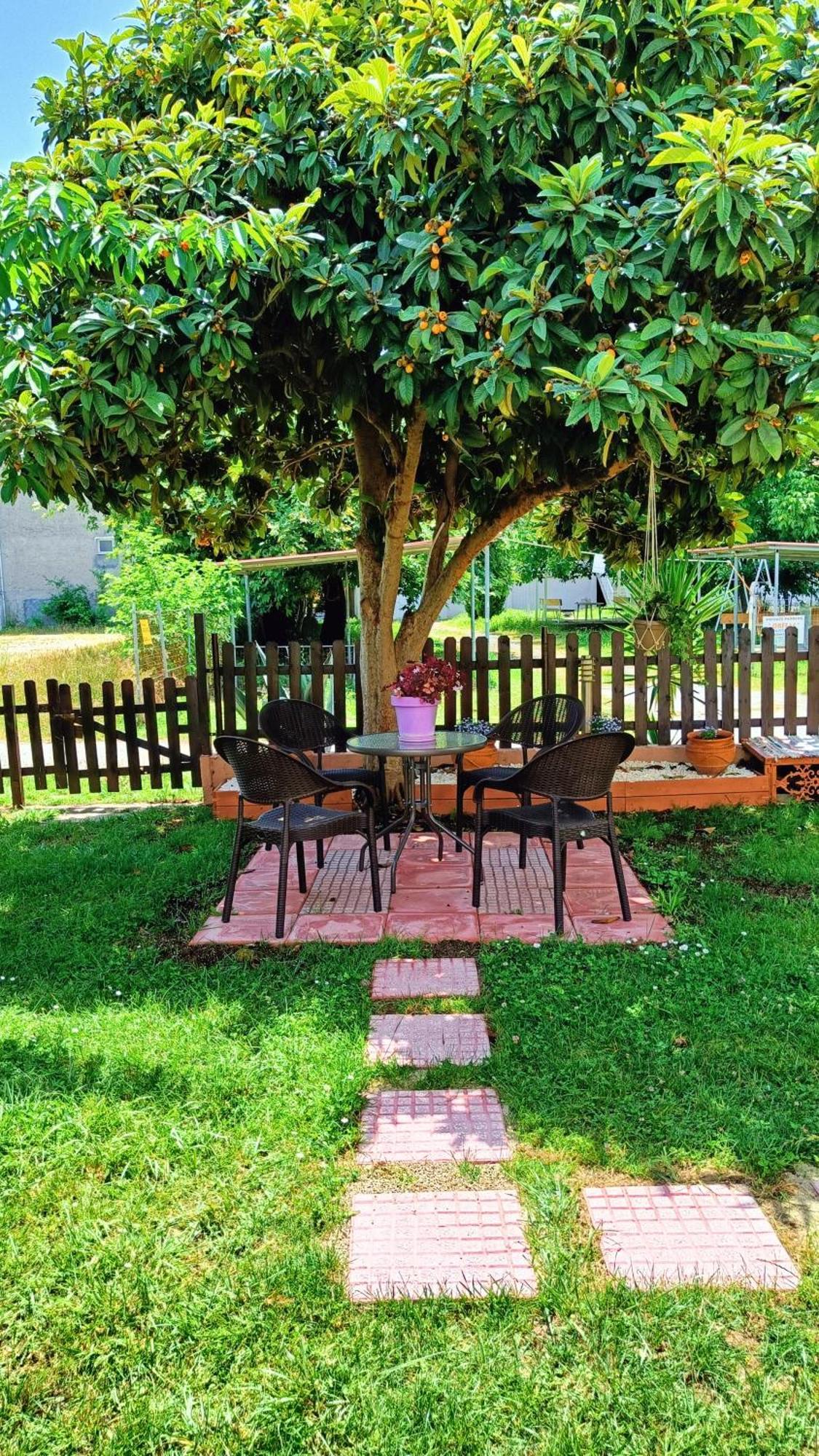 Garden House Katerina Aparthotel Leptokariá Kültér fotó