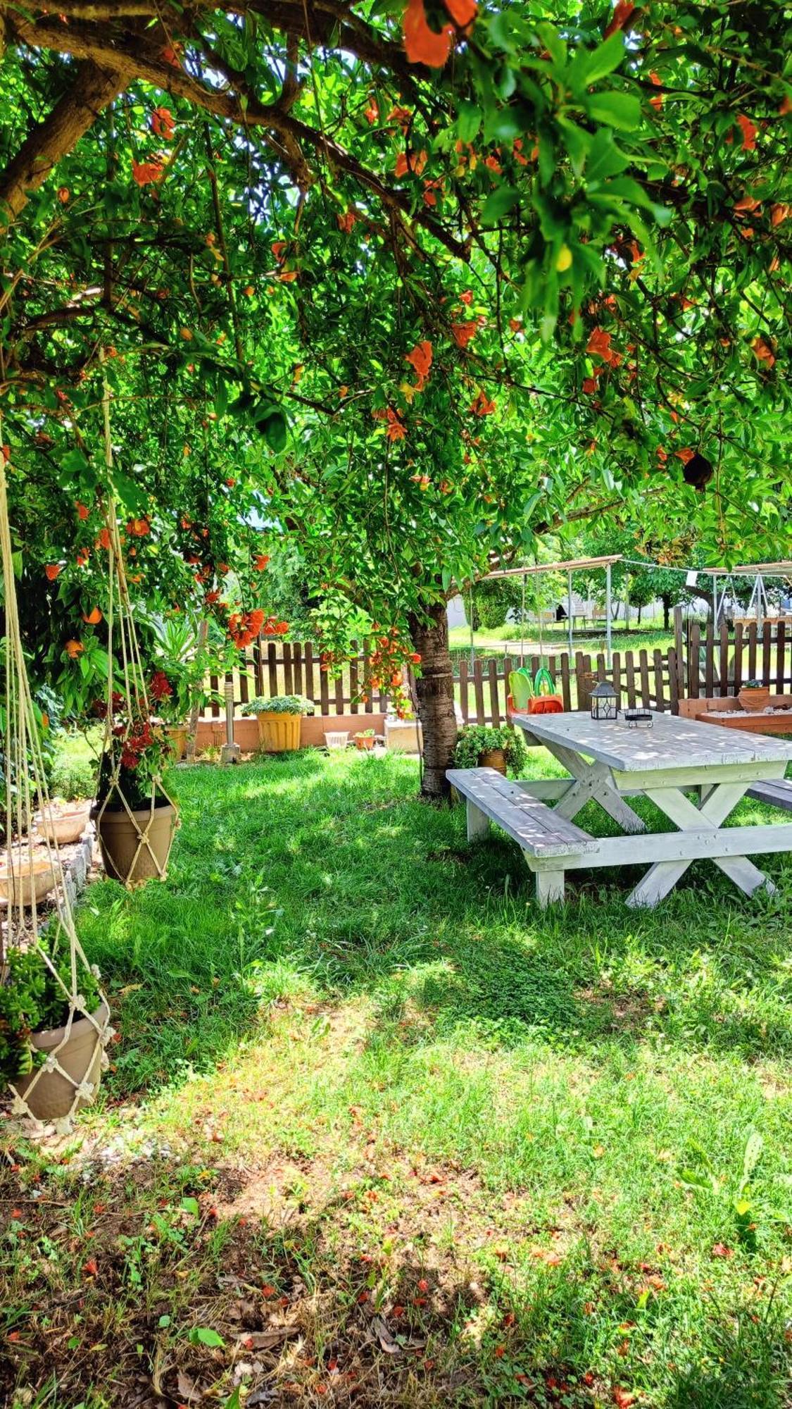 Garden House Katerina Aparthotel Leptokariá Kültér fotó