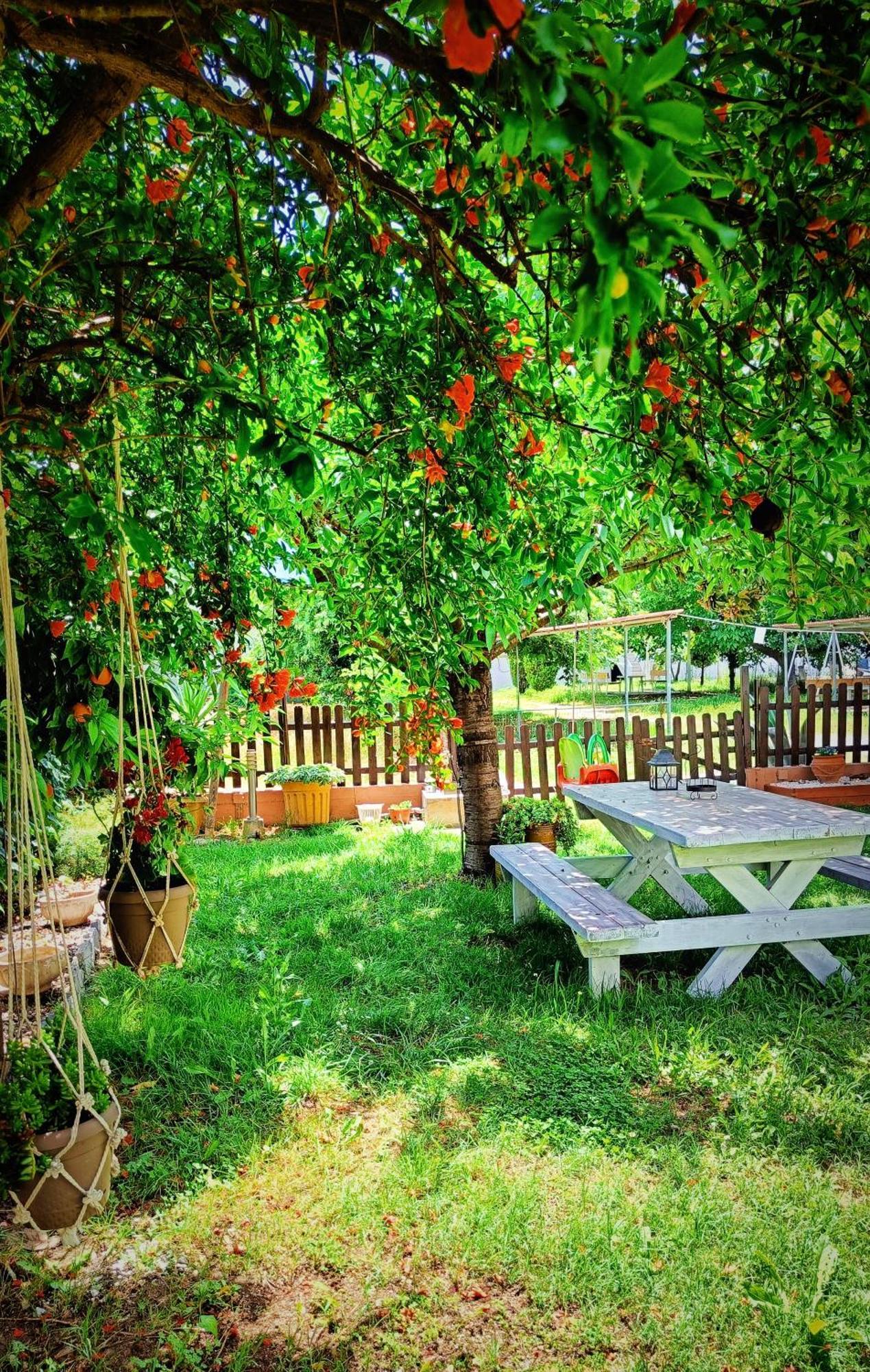Garden House Katerina Aparthotel Leptokariá Kültér fotó